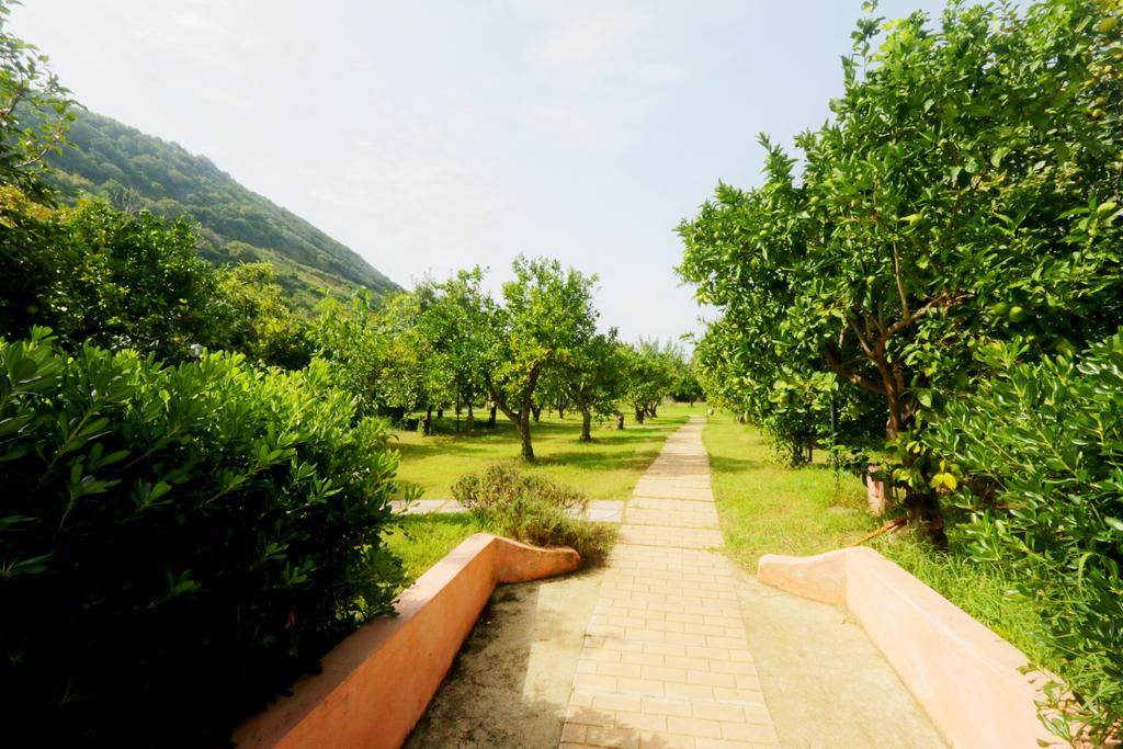 Aparthotel Residenza La Vigna Parghelia